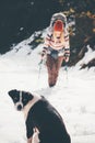 Dog waiting friend hiking Travel together