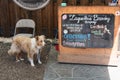 Dog waiting for his master at the Lagunitas Brewing Company Sign. Royalty Free Stock Photo