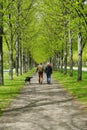 Dog walk Royalty Free Stock Photo