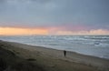 Dog walk on a Stormy Beach Royalty Free Stock Photo