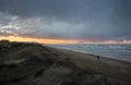 Dog walk on a Stormy Beach Royalty Free Stock Photo