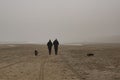 Dog walker - Beach - Bad Weather Royalty Free Stock Photo