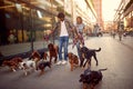 Dog walker girl and man dogs walks and enjoying outdoors Royalty Free Stock Photo