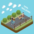 Dog Walker Isometric Concept Illustration Royalty Free Stock Photo