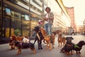 Dog walker man in the street with lots of dogs Royalty Free Stock Photo