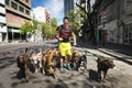 Dog walker Pasea Peros with a pack of dogs in a street of the San Telmo neighborhood in the city of Buenos Aires, Argentina.
