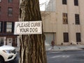 Dog Walker, Please Curb Your Dog, NYC, NY, USA
