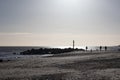 Dog walkers on the beach on a winter morning