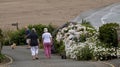 Dog walkers on coast at Bigbury on Sea, Devon, UK