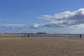 Dog Walkers on Monifieth beach when the tide is out