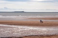 Dog walking on Alnmouth beach Royalty Free Stock Photo
