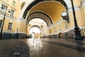 Dog walking along street against facade of old buildings in downtown