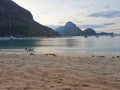 Dog walking on the beach in El Nido, Philippines