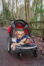 Dog in walking buggy being pushed along a country path dog has leg injuries Royalty Free Stock Photo