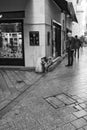 Dog walking on leash pees on a building corner outside