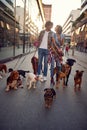 Dog walking on leash with professional dog walker couple