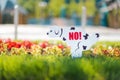 Dog warning sign. Sign in the form of a pooping dalmatin dog, with the inscription NO. Installed on a green lawn with flowers,