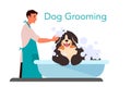 Dog washing service. Professional barber shampooing cute domestic