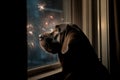 Dog watching fireworks through window. Royalty Free Stock Photo