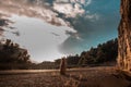 Dog watching a sunset. With the sky in the background. Royalty Free Stock Photo