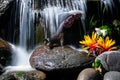 dog at the waterfall in nature. Travel and hiking with an active pet. Puppy Day