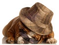 Dog wearing hat and glasses Royalty Free Stock Photo