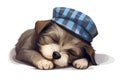 Dog wearing a hat is sleeping. Illustration isolated on white background by Generative AI