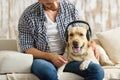 Dog wearing headphones while his owner sitting nearby