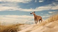 Timeless Grace: Dogs On Dunes In The Style Of John Wilhelm