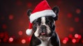 A dog wearing a Santa hat Royalty Free Stock Photo