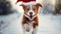 dog wearing Santa hat Royalty Free Stock Photo