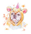 Dog wearing unicorn kigurumi