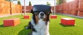 A dog wearing a virtual reality headset sits in a grassy field Royalty Free Stock Photo