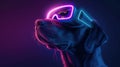 Dog wearing vision pro VR glasses, bone neon icon room background. Generative AI Royalty Free Stock Photo