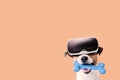 Dog wearing VR headset playing with toy bone. Humorous virtual reality gaming concept Royalty Free Stock Photo