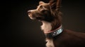Innovative Puppy Collar With Sensor By Cyril Rolando