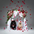 Dog wedding couple under flower arch Royalty Free Stock Photo