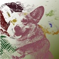 Dog welsh korgi. Cartoon style vector illustration isolated on white background.
