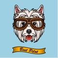 Dog West Highland White Terrier in pilot glasses. Vector.