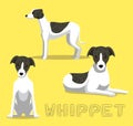 Dog Whippet Cartoon Vector Illustration