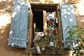 Dog in the window greeting the neighbors Royalty Free Stock Photo