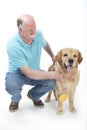 Dog won a golden medal Royalty Free Stock Photo