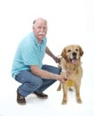 Dog won a golden medal Royalty Free Stock Photo