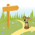 Dog and wooden arrow on the road