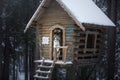 Dog at wooden house in the forest. Marble border collie in nature. Walk with your pet in winter Royalty Free Stock Photo