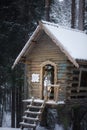 Dog at wooden house in the forest. Marble border collie in nature. Walk with your pet in winter Royalty Free Stock Photo