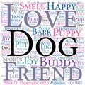 Dog Word Cloud Royalty Free Stock Photo