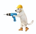 Dog worker with electric drill 2