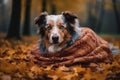 Dog wrapped blanket. Generate Ai