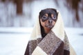 A dog wrapped in a plaid in a winter forest. Zen, meditation, yo